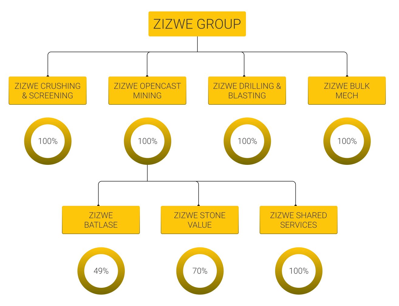 Zizwe Company Structure